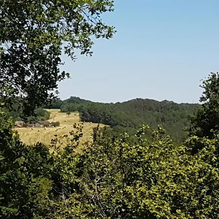 Holiday home Le Bousquet *
