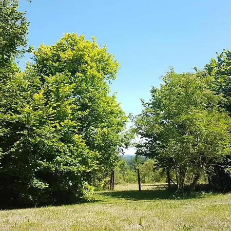 Le Bousquet * Bars (Dordogne)